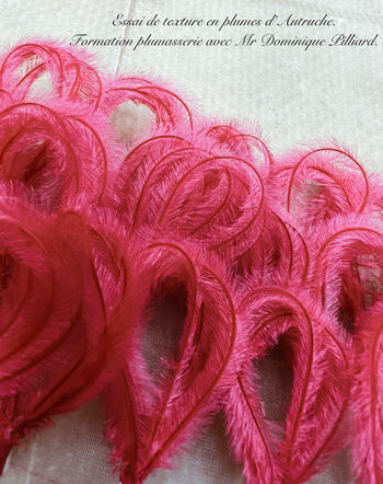 formation plumasserie