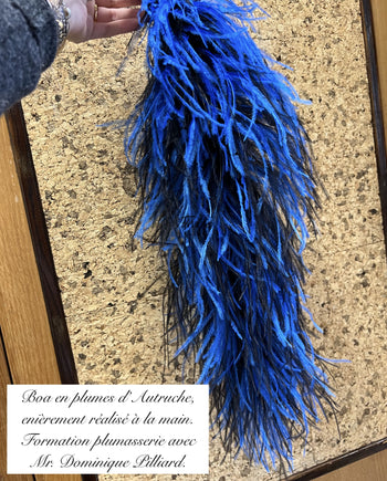 plumes d'autruche brodées main